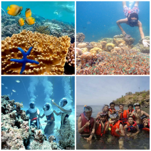 Jalan jalan dibawah laut PANTAI AMED bermain dan berfoto dengan ikan yang indah dan lucu.