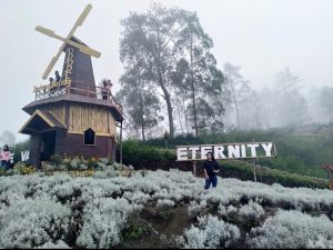 TAMAN EDELWEIS KARANGASEM BALI TEMPAT YANG INDAH DAN SEJUK YANG WAJIB DIKUNJUNGI SAAT BERWISATA KE BALI.