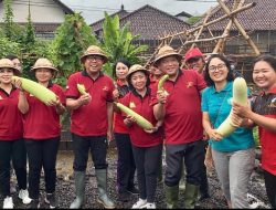 Tekan Inflasi, Pemkot Denpasar Manfaatkan Bekas Pasar Loak Sebagai Lahan Perkebunan Perkotaan