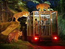 Berwisata yang menyenangkan bersama keluarga di BALI SAFARI &MARINE PARK