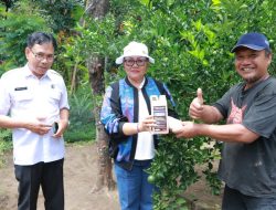 Kegiatan Ketua TP PKK Provinsi Bali Meninjau Budidaya Jeruk Keprok Tejakula