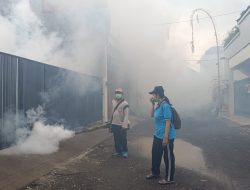 Antisipasi Demam Berdarah, Puskesmas di Denpasar Gencar Lakukan Fogging dan PSN