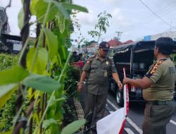 Kotori Wajah Kota, Satpol PP Denpasar Kembali Tertibkan Puluhan Baliho, Spanduk, Banner, Pamflet