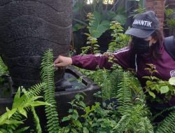 Cegah DBD, Puskesmas I Denpasar Timur Gencarkan Program PSN