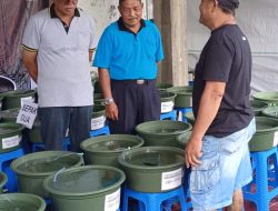 Lestarikan Ikan Mas Koki Bali Desa Dangin Puri Kaja Gelar Kontes Ikan Mas Koki se-Bali.Desa Dangin Puri Kaja Gelar Kontes Ikan Mas Koki se-Bali.