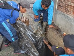 Antisipasi Banjir, PUPR Denpasar Rutin Bersihkan Sampah di Saluran Air