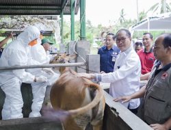 Wabup Suiasa ikuti Kick Off Vaksinasi Booster PMK Optimis Kabupaten Badung Bisa Mencapai Target