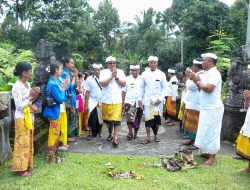 Bupati Giri Prasta Hadiri Acara Nebes Tapakan di Pura Pucak Manik Petang