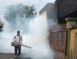 Cegah Peningkatan Kasus DB di Musim Penghujan, Puskesmas III Denpasar Selatan Lakukan Fogging