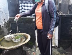 Cegah DB, Kader Jumantik Dan Puskesmas III Densel Lakukan PSN Di Pemogan.