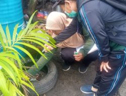 Tekan Kasus DBD Puskesmas III Denpasar Selatan Rutin Gelar PSN