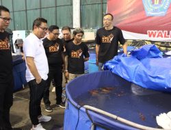 Meriahkan HUT ke 235 Kota Denpasar, Ratusan Ikan Koi Ikuti “Denpasar One Day Contest”