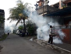 Tekan DBD Lingkungan Taman Sekar Kelurahan Padangsambian di Fogging Fokus