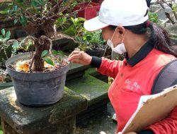 Bagikan Serbuk Abate, Puskesmas IV Denpasar Selatan Ajak Warga Cegah DBD