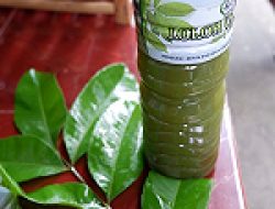 Loloh Cemcem Minuman traditional segar dan berkhasiat yang sudah turun temurun dibuat oleh masyarakat Bangli.