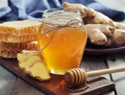 Ini dia makanan Pembersih paru yang Jarang Diketahui
