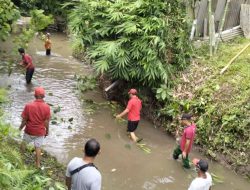 KPS Jempiring Putih Bersihkan Tukad Paang Indah Penatih.