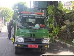 DLHK Kota Denpasar Lakukan Perompesan di Jalur Yang Akan Dilalui Parade Ogoh-Ogoh