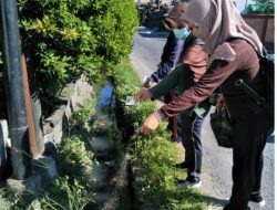 Cegah DB Pemkot Denpasar Gencarkan  PSN dan Larvasida