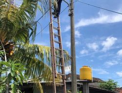 Dishub Denpasar Siagakan Petugas LPJU Saat Nyepi