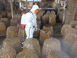 Distan Kota Denpasar Gencarkan KIE dan Biosecurity Sasar Pasar Unggas.