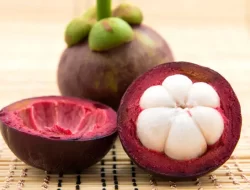 Manfaat Buah Manggis yang Sayang Dilewatkan