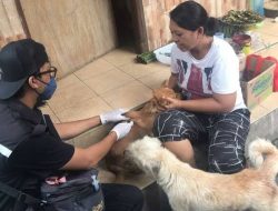 Distan Denpasar Genjot Vaksinasi Hewan Penular Rabies