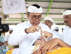 Walikota Jaya Negara Ngayah Nyanggingin Serangkaian Karya Metatah Masal Desa Adat Pohgading