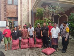 Kendalikan Inflasi, 300 Kg Bibit Bawang diberikan Kepada Kelompok Tani Uma Puan Peguyangan