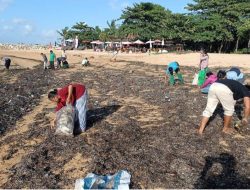 DLHK Denpasar Respon Cepat Penanganan Sampah Kiriman di Kawasan Pantai Sanur