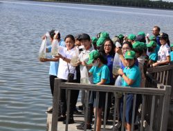 Ny. Sagung Antari Jaya Negara Ajak Siswa  SDN 5 Saraswati Wisata Literasi di Hutan Manggrove Batu Lumbang.