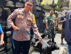 Bhabinkamtibmas Kelurahan Legian Polsek Kuta Atensi Kegiatan Vaksinasi Rabies Hewan Peliharaan