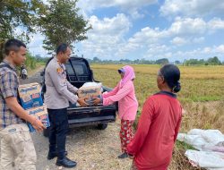 Kapolres Tabanan, Bagikan Paket Sembako Kepada Buruh Pemanen Padi