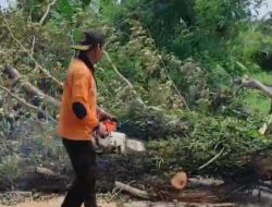 Pohon Tumbang, Kapolsek Kediri Lakukan Gerak Cepat Evakuasi