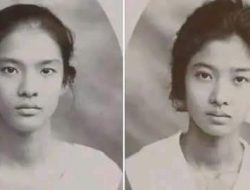 Pendekar Wanita Keturunan Tionghoa  yang mirip dengan kisah Mulan yang menyamar jadi Prajurit laki laki