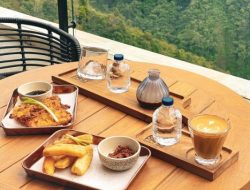 PAHDI SPECIALITY COFFEE : Coffee Shop Terbesar di Asia Tenggara Ada di Kintamani dengan suasana pegunungan yang indah dan sejuk