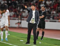 Hanya 8 pemain dari Liga 1 2023-2024 yang dipanggil Shin-Tae Yong untuk Laga Kualifikasi Piala Dunia 2026 Indonesia vs Irak dan Filipina