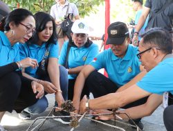 Dipimpin Sekda Dewa Indra, Pemprov Inisiasi Gerakan Bersama Restorasi Terumbu Karang di Perairan Pemuteran