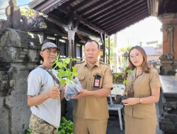 Desa Dangin Puri Klod Bagikan 1500 Bibit Cabai Pada Warga