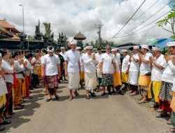 Bupati Badung Hadir di Upacara Yadnya Desa Adat Pangsan