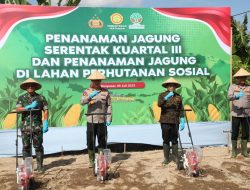 Kapolda Bali Laksanakan Penanaman Jagung Serentak