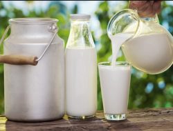 Mengapa lansia butuh calsium dan vitamin D?