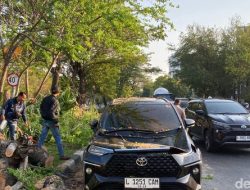 Surabaya dan Jawa Timur diterjang badai, banyak pohon tumbang di Pasar Asem dan beberapa daerah lainnya.