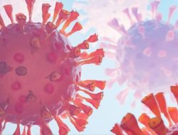 Varian virus Baru di 2026, Virus Flu yang harus di waspadai