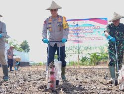 Dukung Program Swasembada Pangan Tahun 2026, Polda Bali Tanam Jagung Serentak