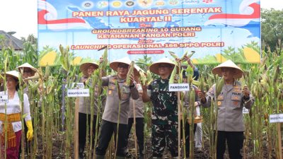 Panen Raya Jagung Serentak di Buleleng Dipimpin Wakapolda Bali, Polisi Tegaskan “PETANI TETAP JADI PELAKU UTAMA”