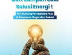 PSEL dibangun,PLN siap membelinya?